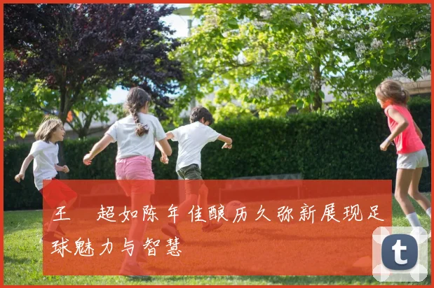 王燊超如陈年佳酿历久弥新展现足球魅力与智慧